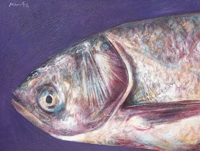 carp-laurentiu-midvichi-win-gallery