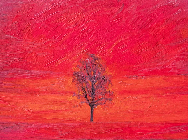 flora-raducan-red-vision-blog-banner