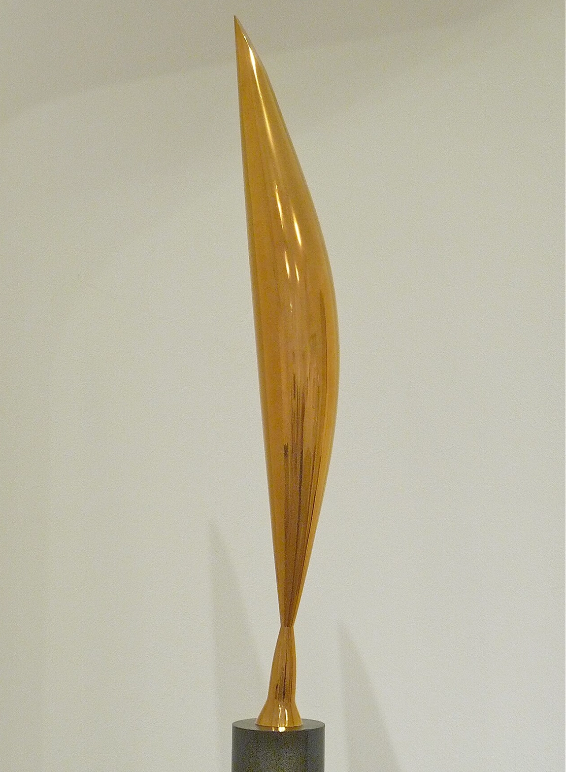 constantin-brancusi-pasare-in-spatiu