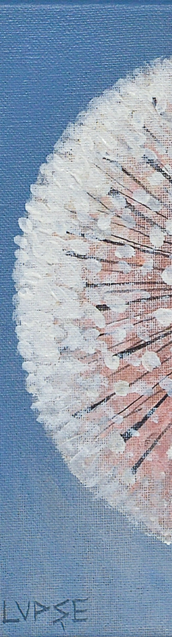 Papadie-dansul-ingerilor2-marcel-lupse-2