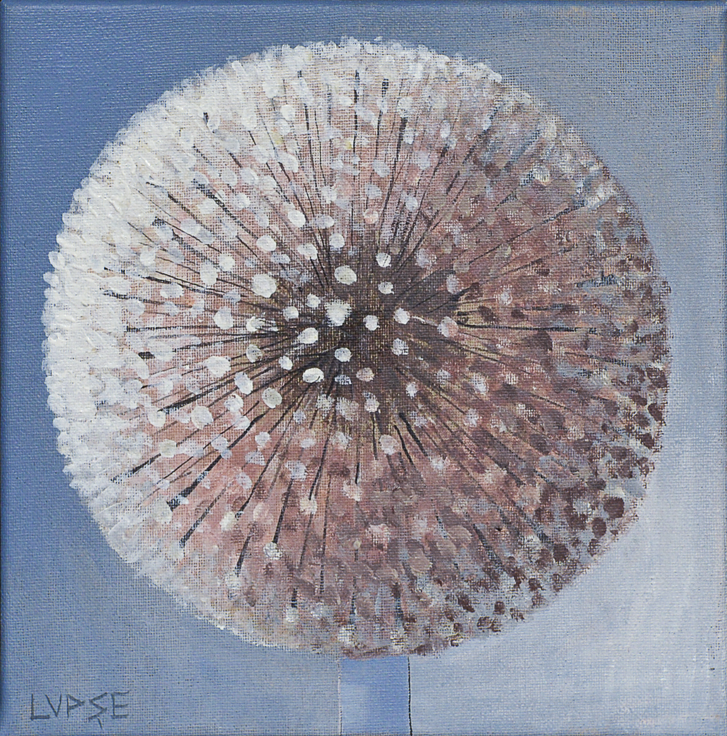 Papadie-dansul-ingerilor2-marcel-lupse