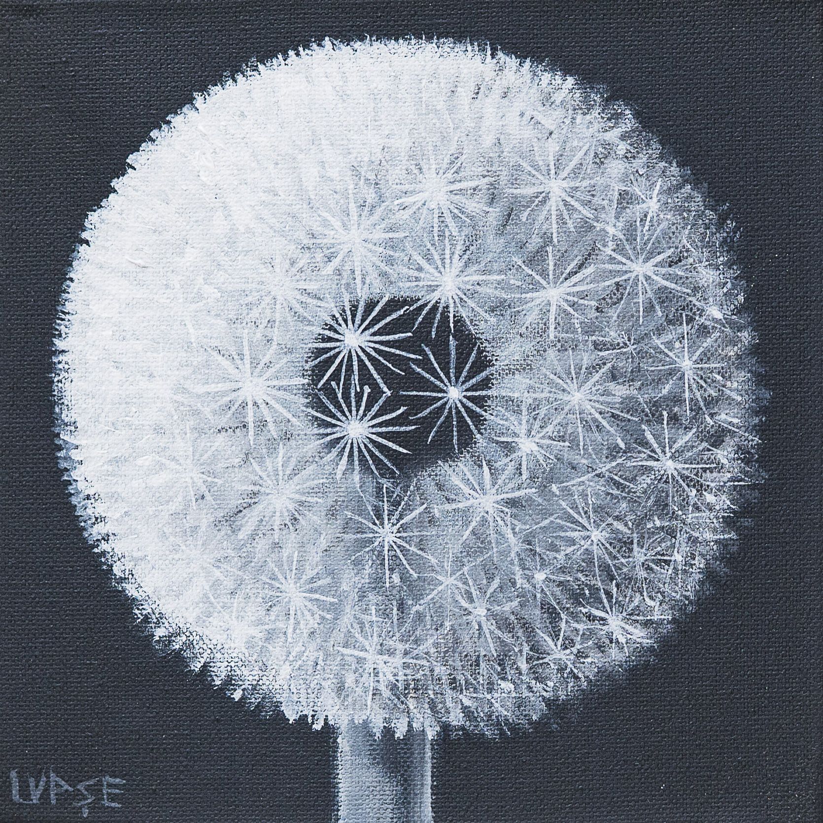 papadie-dansul-ingerilor-marcel-lupse-1