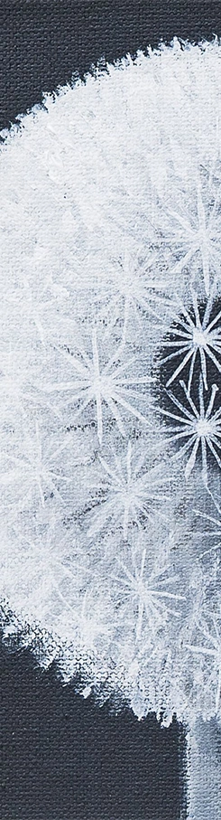 thumb-papadie-dansul-ingerilor-marcel-lupse-1