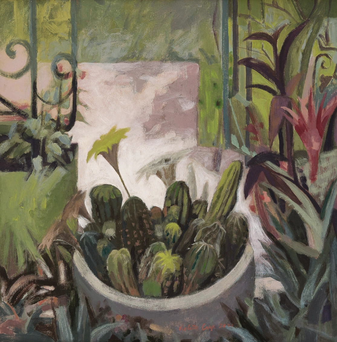 dimineata-violeta-carp