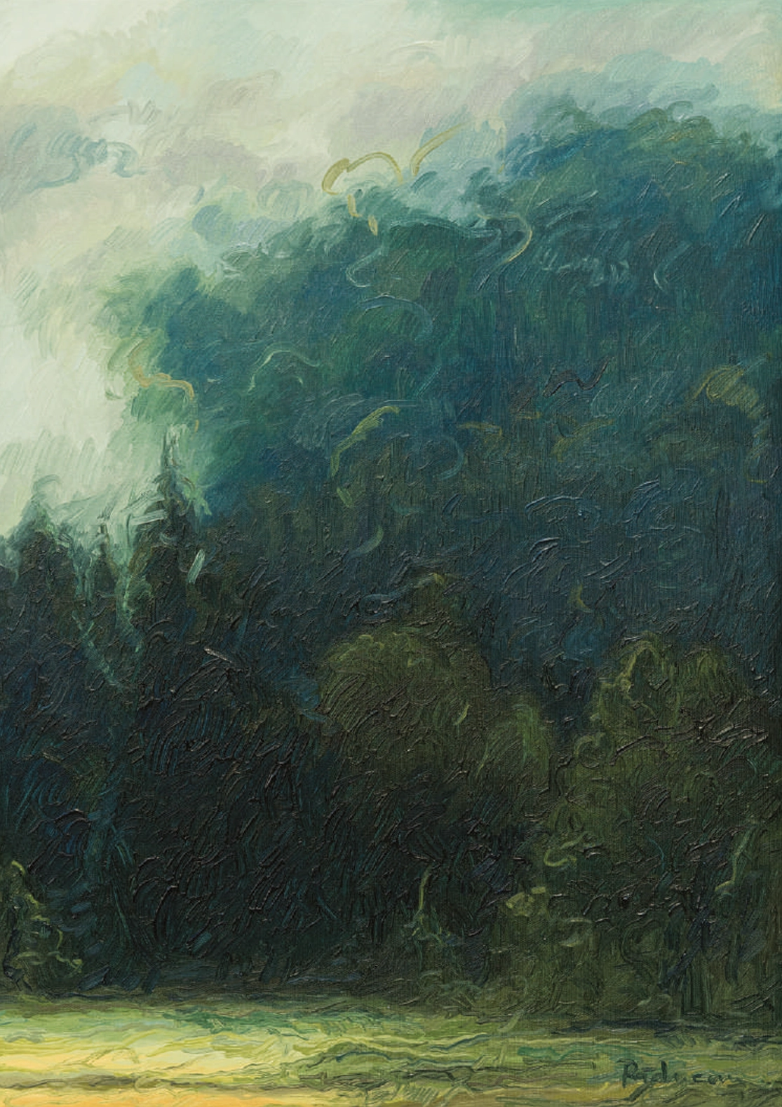 dupa-ploaie-flora-raducan