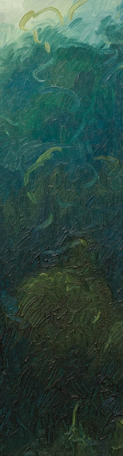 flora-raducan-dupa-ploaie