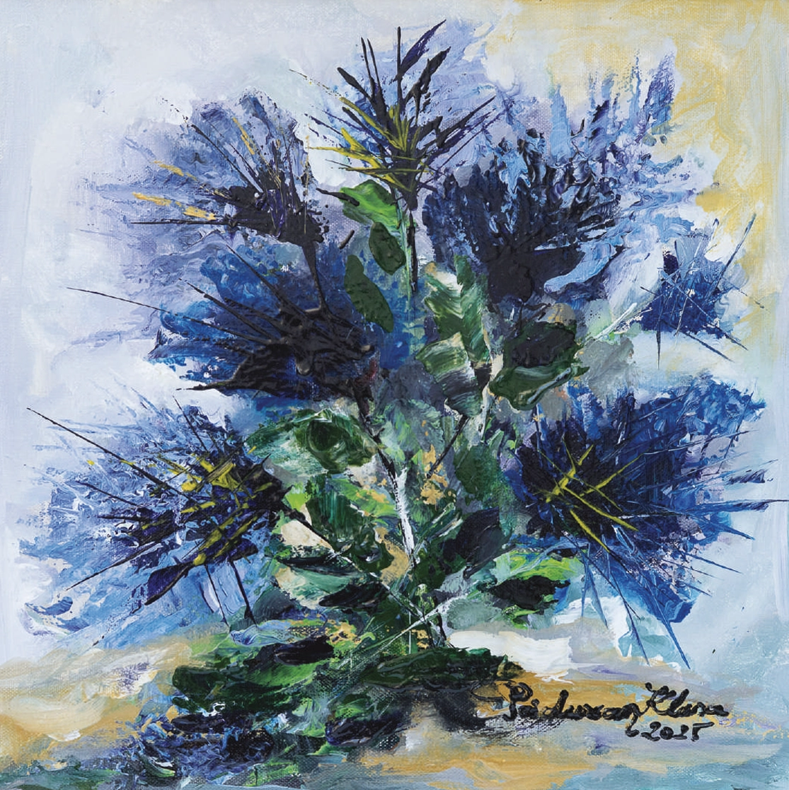 flori-de-camp-klara-padurean