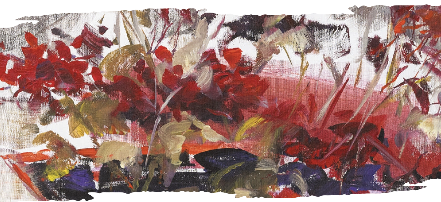 mister-in-floare-martie-2025-win-gallery