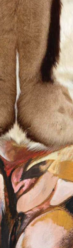 win-gallery-horia-rosca-gol