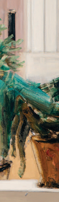 constantin-pacea-win-gallery