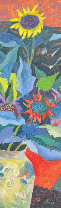 dumitru-macovei-win-gallery