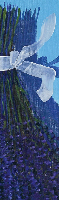 marcel-lupse-lavanda-win-gallery