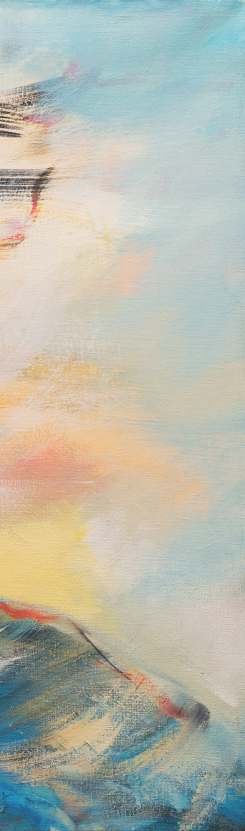 epava-vasilica-chifu-picturi