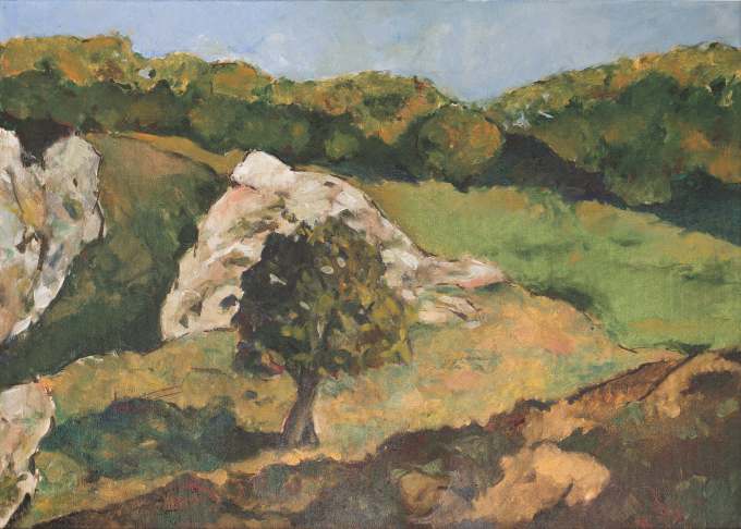 win-gallery-valter-paraschivescu-arta