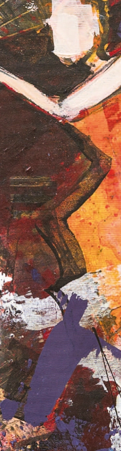 florin-mugur-popa-flamenco-2