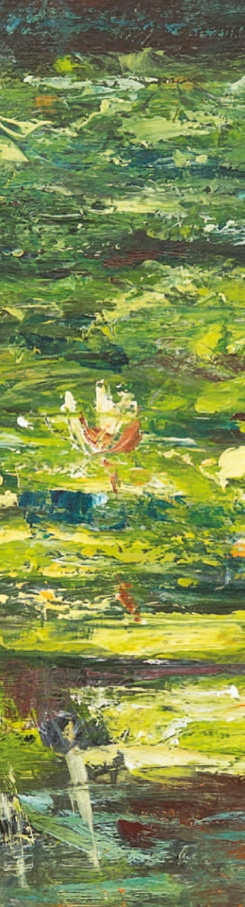 laurentiu-midvichi-nuferi