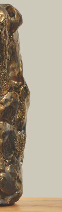 alexandru-papuc-win-gallery