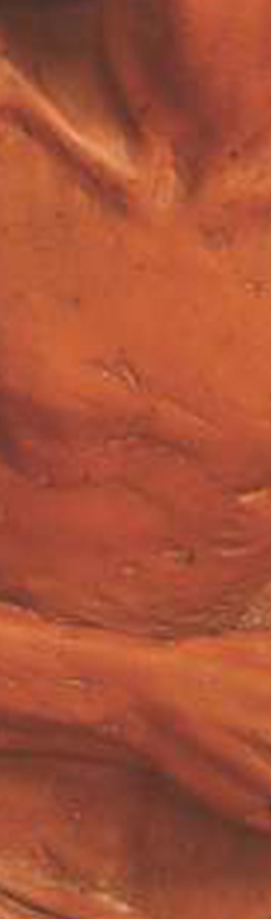 carmen-tepas-sculptura-win-gallery