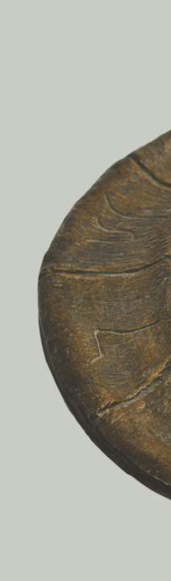 mihai-tugearu-win-gallery