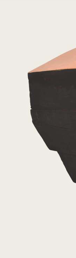 mircea-roman-win-gallery