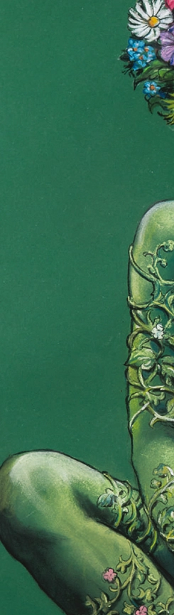 zana-florilor-valentin-tanase-win-gallery