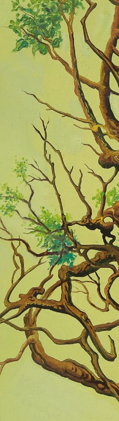 zana-padurii-valentin-tanase-win-gallery