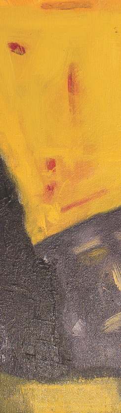 georgiana-manea-pictura-panza-win-gallery